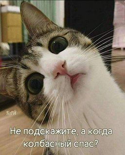 Уфамамский календарь