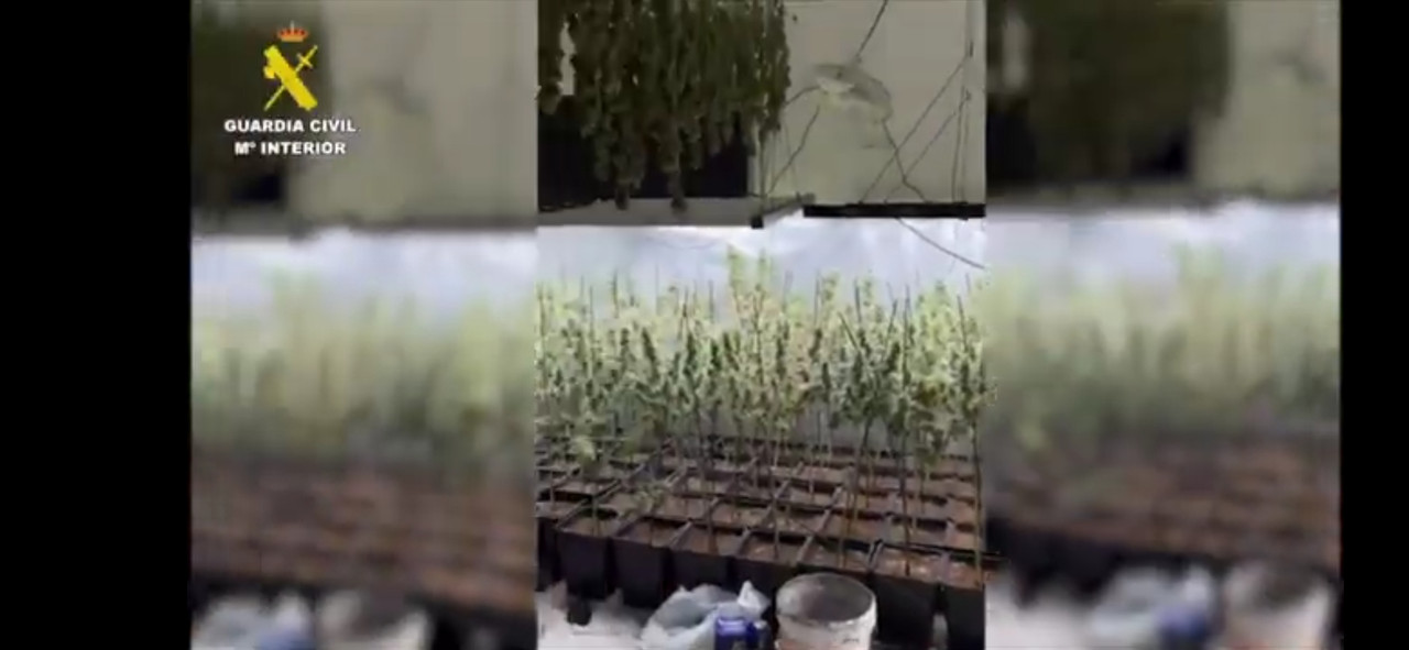 Foto cedida por Guardia Civil 
