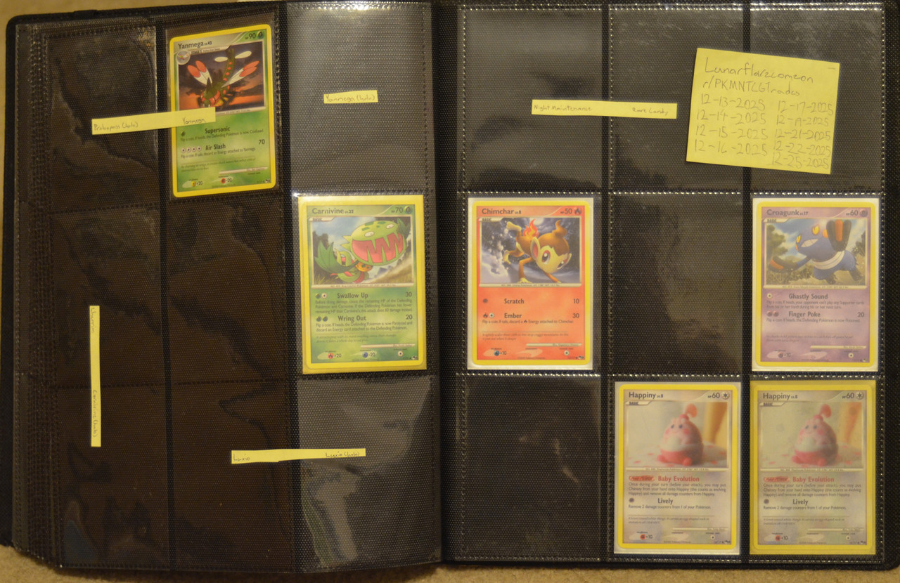 vander j meintel binder (219)