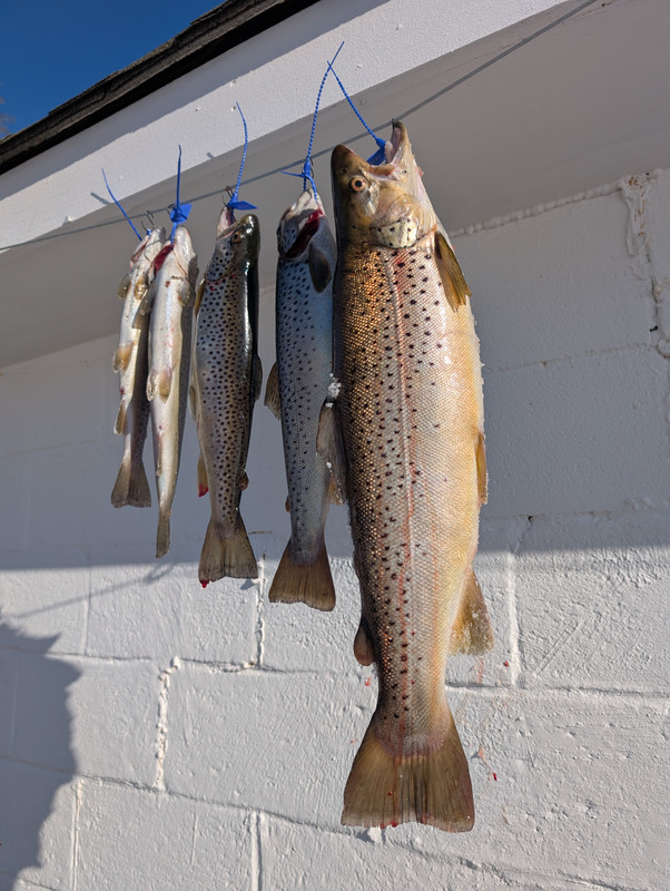 PXL_20250222_140642539