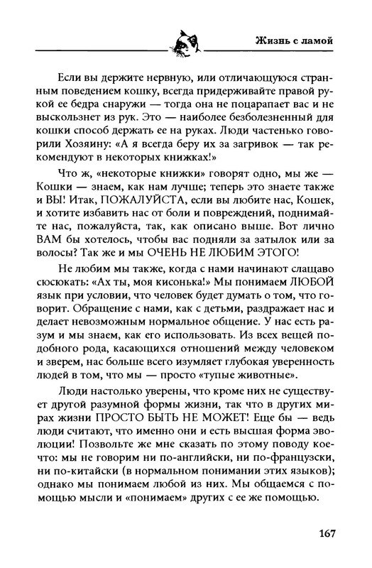 p0019