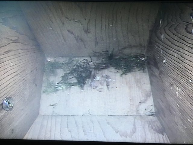 1B039311-EE9A-4708-A3AF-999BD48306FE