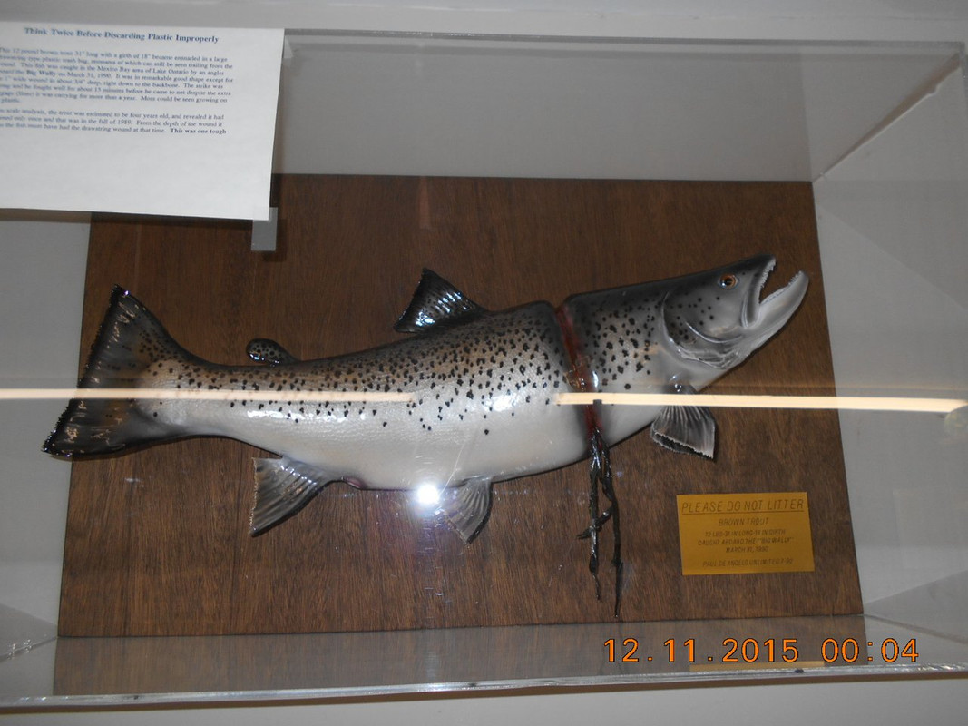 DSCN0417 — Postimages