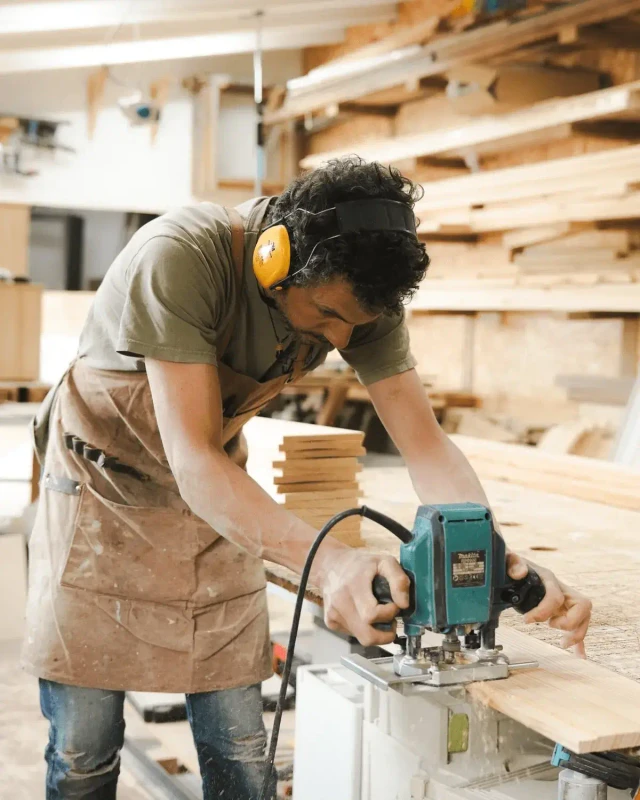Professional Carpenter