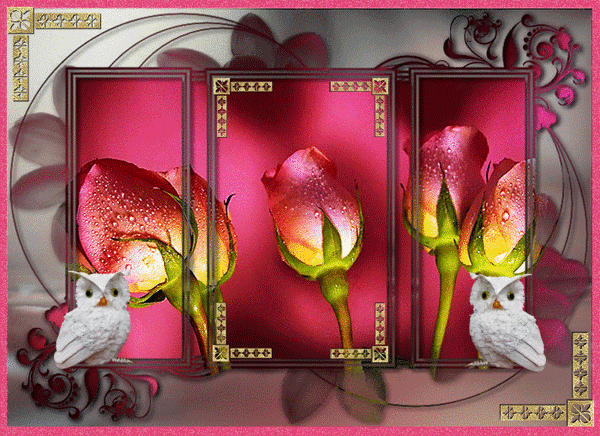 8aaaaaaaaaaaaaaaaaaaaaaaa