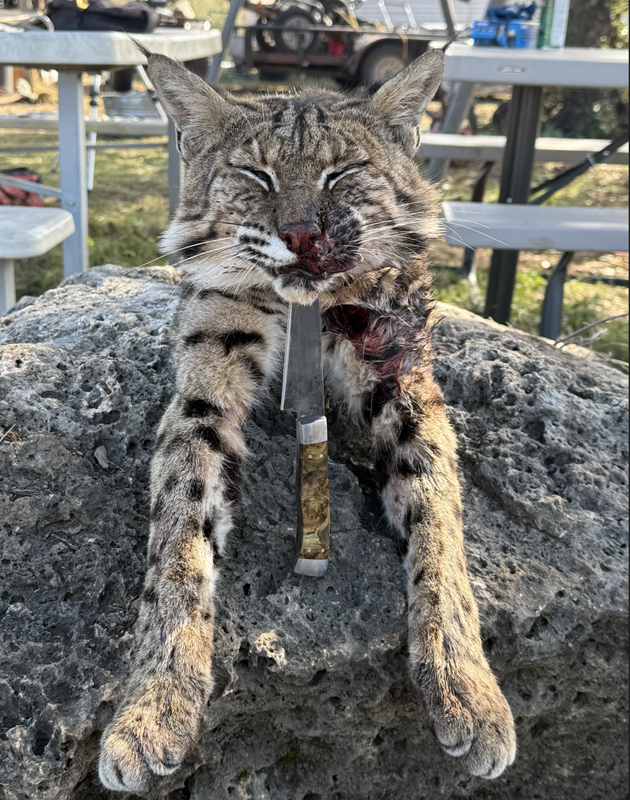 Screen Shot 2025-01-07 at 8.37.07 PM