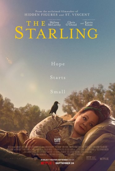 Szpak / The Starling (2021) PL.WEB-DL.XviD-GR4PE | Lektor PL