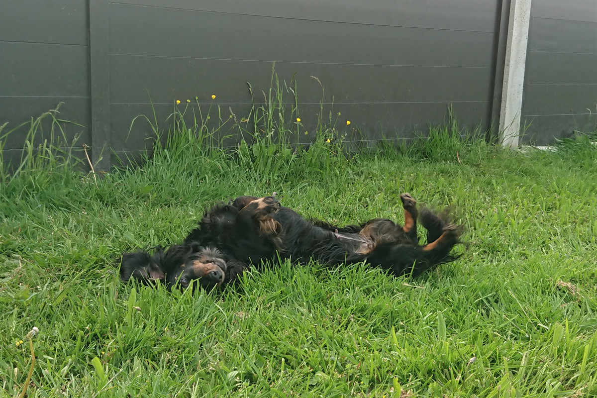 [Image: DSC-1677.jpg]