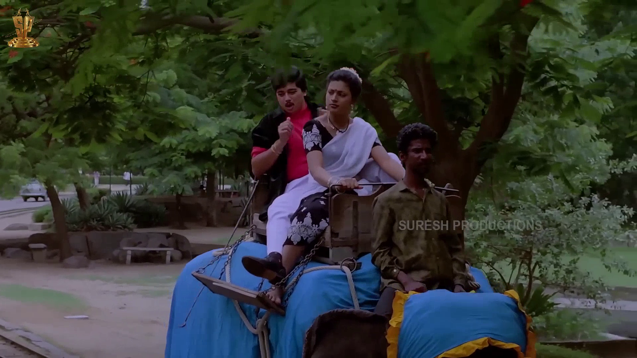 vlcsnap 2026 02 25 20h02m38s758