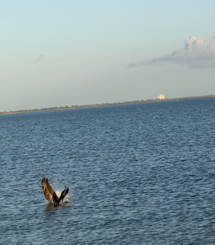 [Image: Sanibel-Island-Bridge13.png]