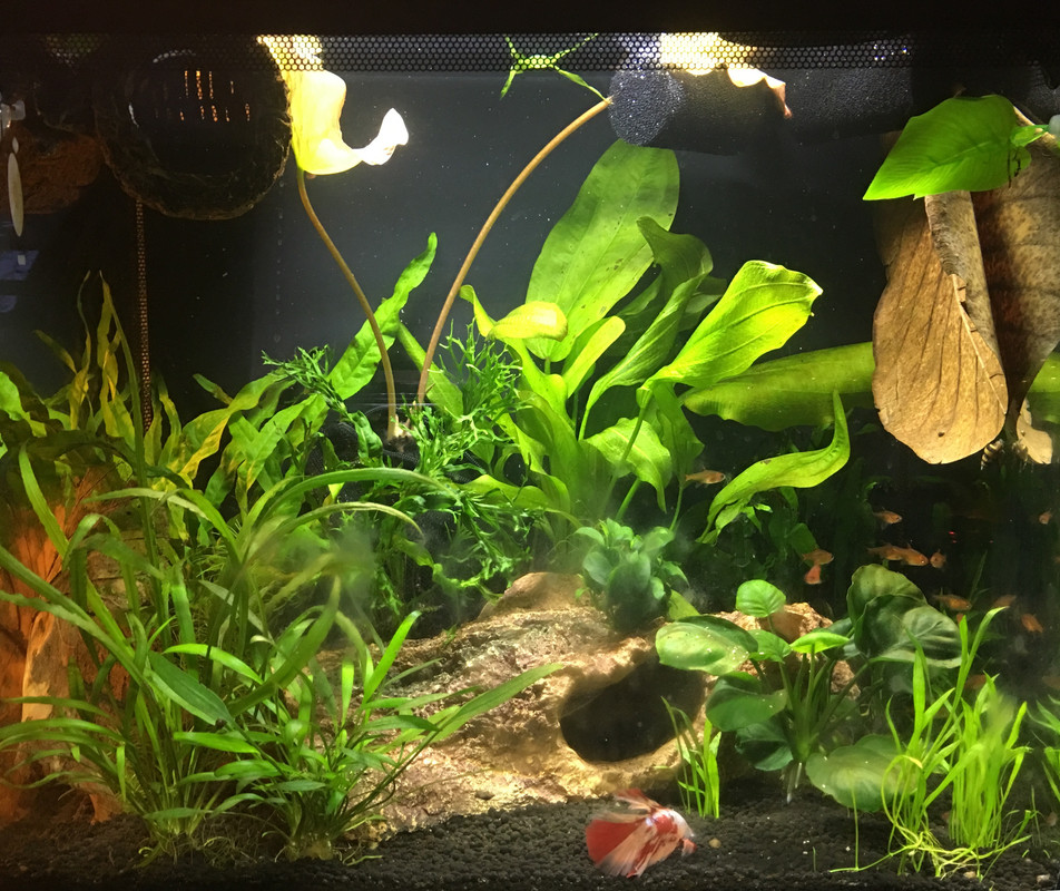 2FA88660-300E-45C6-9B4E-0238D315AF78