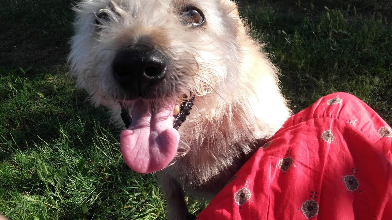 E943A2EB-F8ED-4C96-92F0-15CF5070A9AA