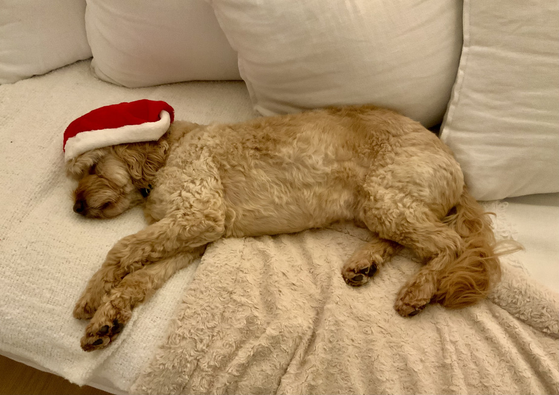 D67E9DF9-721A-48F1-9A00-D85E911F4967