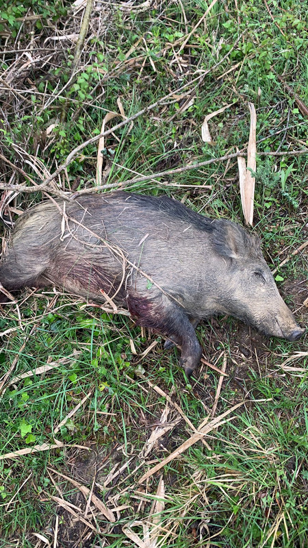 307FBC0A-9015-48DC-AAEA-02EC78B3C8E9