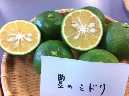 Toyo no Midori大分かぼす豊のみどり