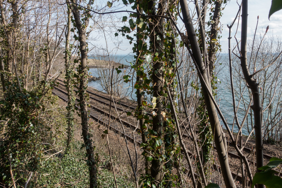 dsc04622-1_16510218494_o