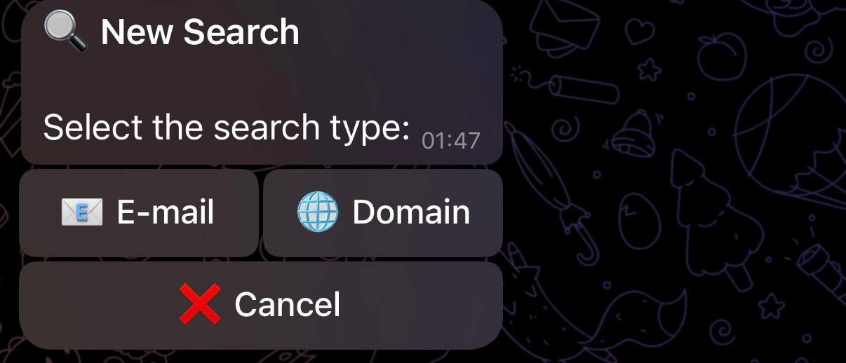 photo 2026 03 06 02 20 46