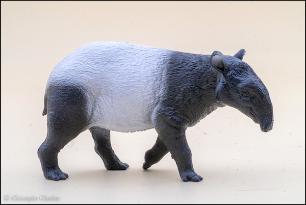 2022 Wildlife Figure of the Year, time for your choices! - Maximum of 5 Schleich-14850-Tapir-copie