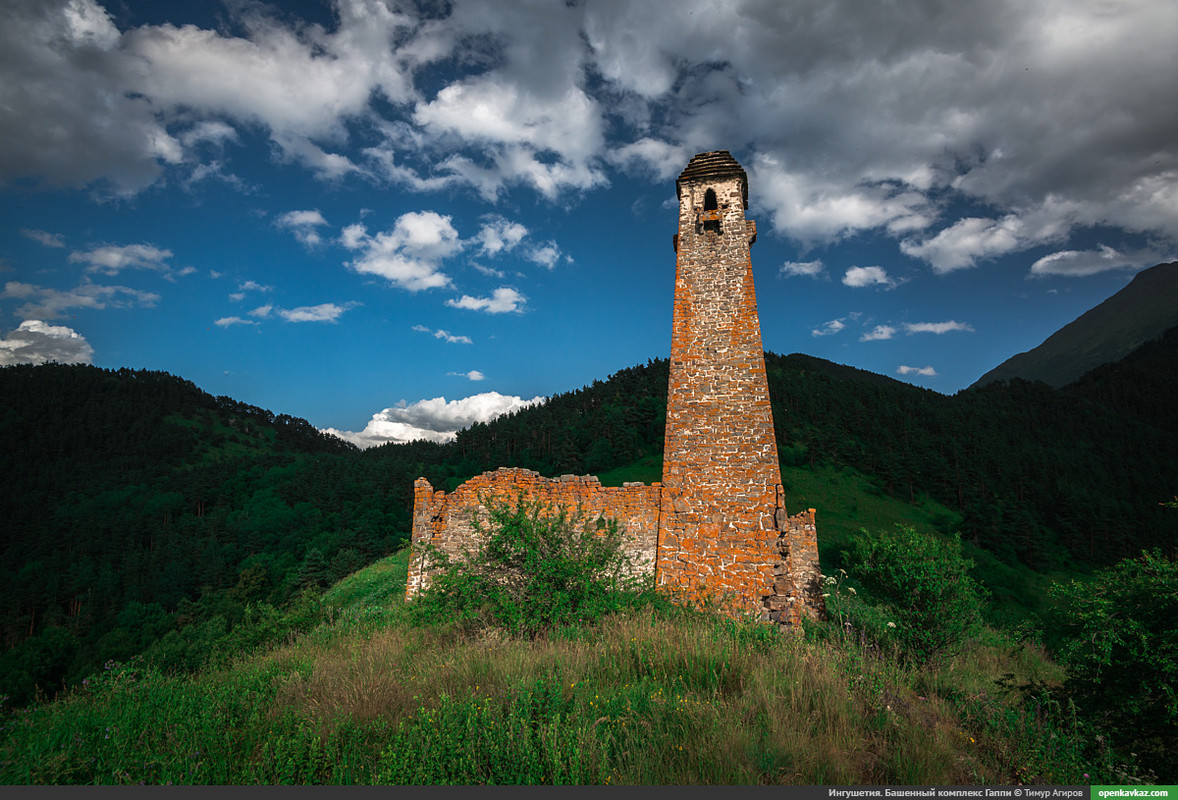 C7938BEE-3923-4F51-B875-EB8600A068F7