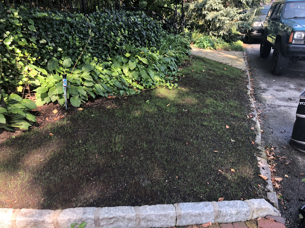 BAA70E48-E949-43A9-B15D-052775733D5E