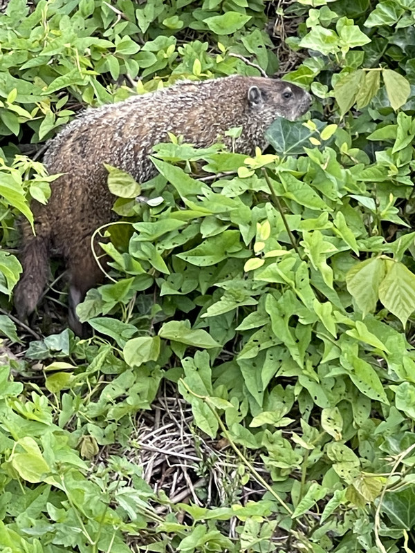 D8D98CC6-F7DA-448C-B4EC-44E7D4F10B01