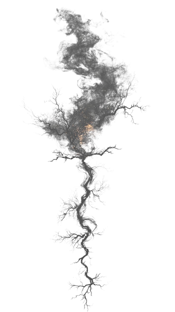 Untitled design (8)