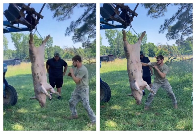 Брайс Мичъл се боксира с новата си боксова круша