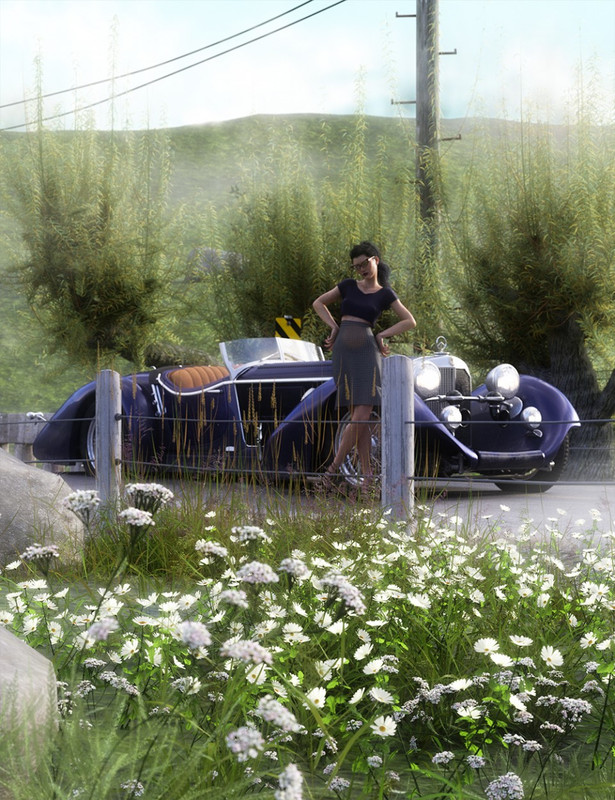 Roadside Flowering Plants for Daz Studio and Iray