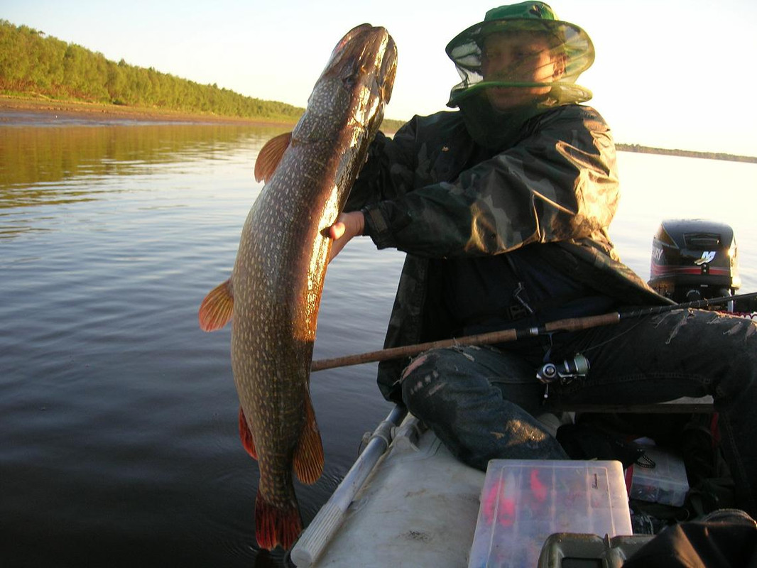 И, конечно, такая рыба достойна жить. 10,8 кг. Д