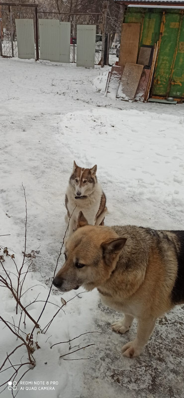 88EC9070-6AFA-4D83-AC39-A17AF5ECFD6B