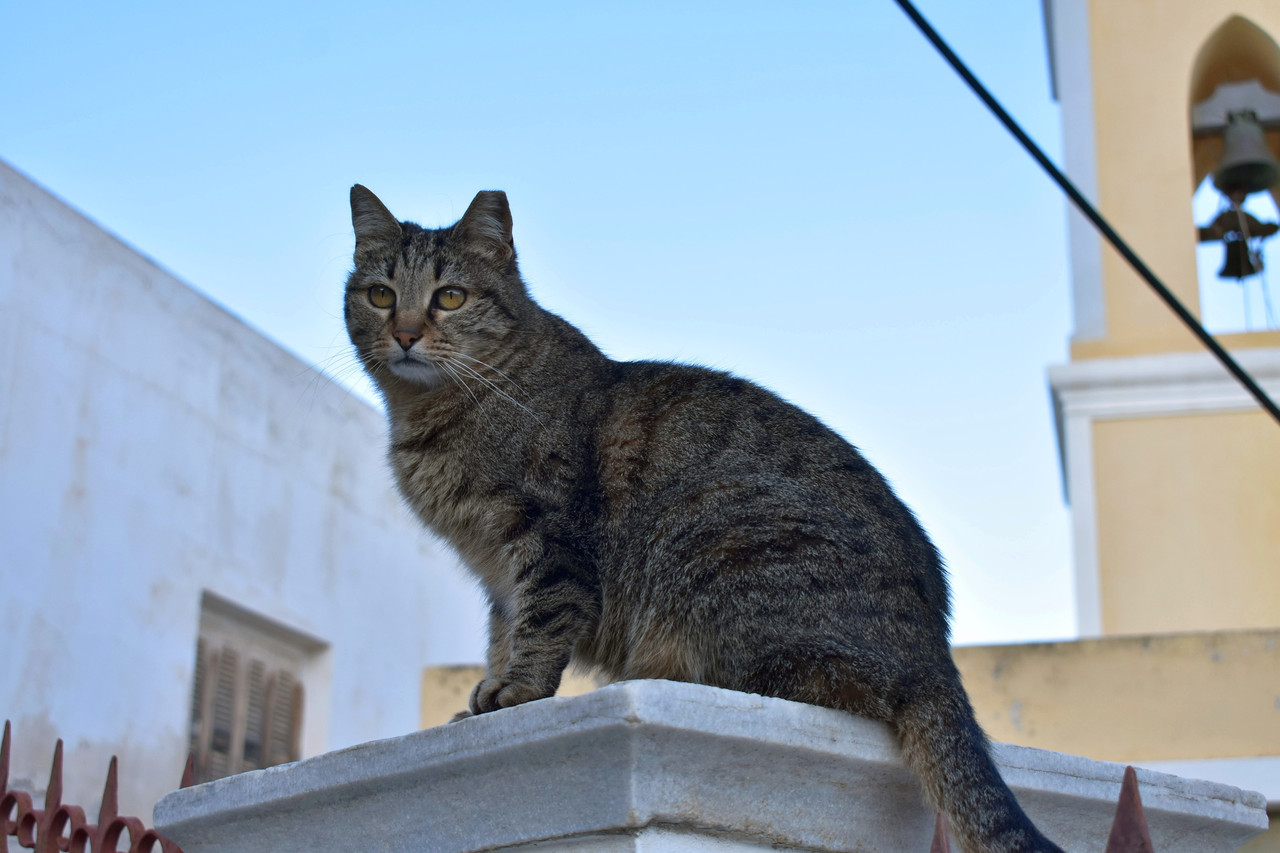 Ανω Σύρος (1ο μέρος) (24)