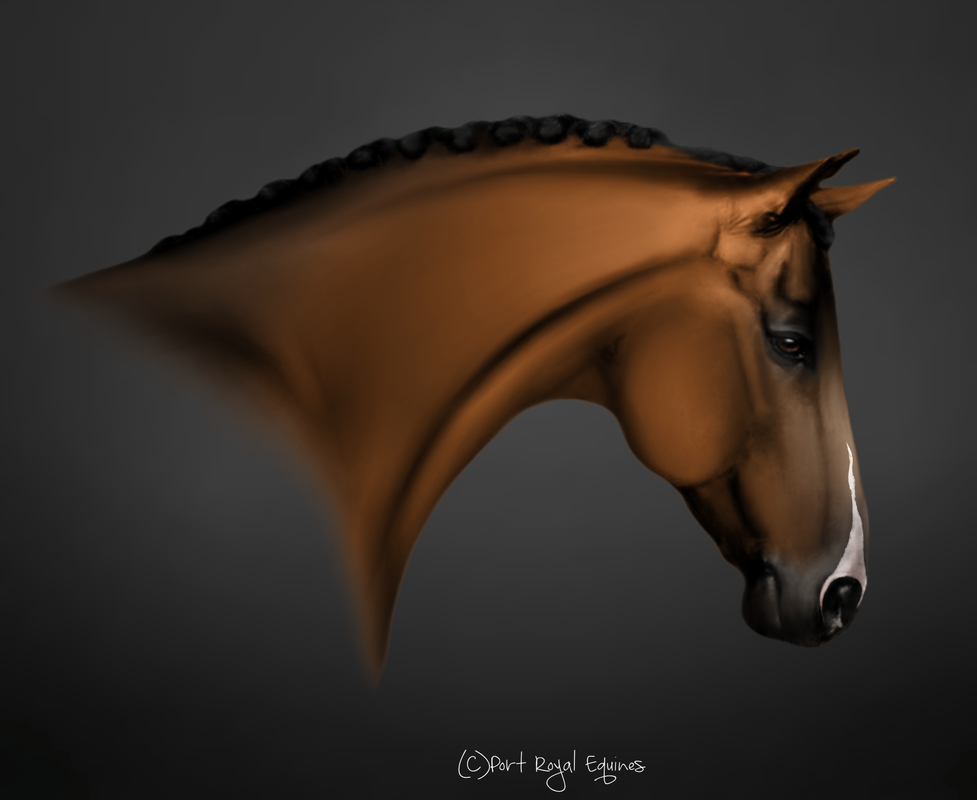 Untitled213-Restored7-20250121202635.png