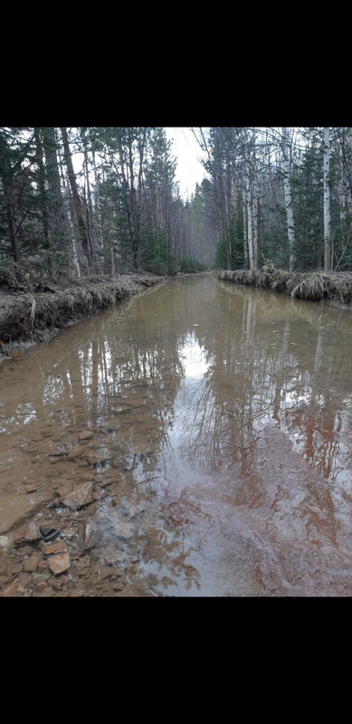 Screenshot_20221017-042842_WhatsApp