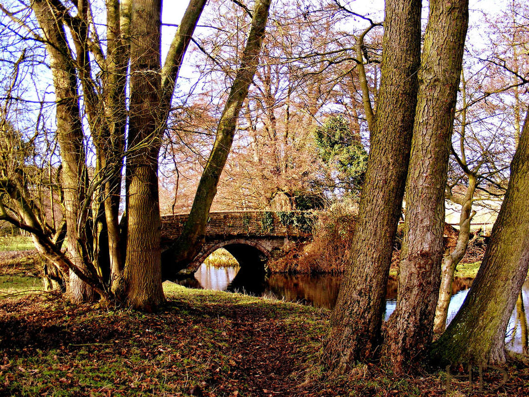 River-mim-late-autumn-HD.jpg