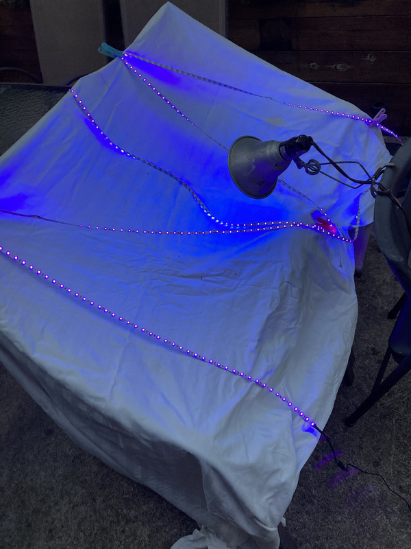 BB65A3BD-17C7-4C1B-9173-42862CFFDBB0