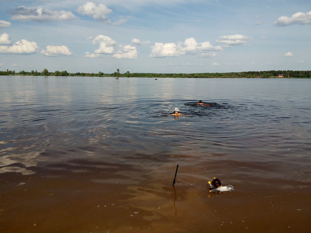 Клепики 12.06.16 02