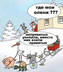 Без названия