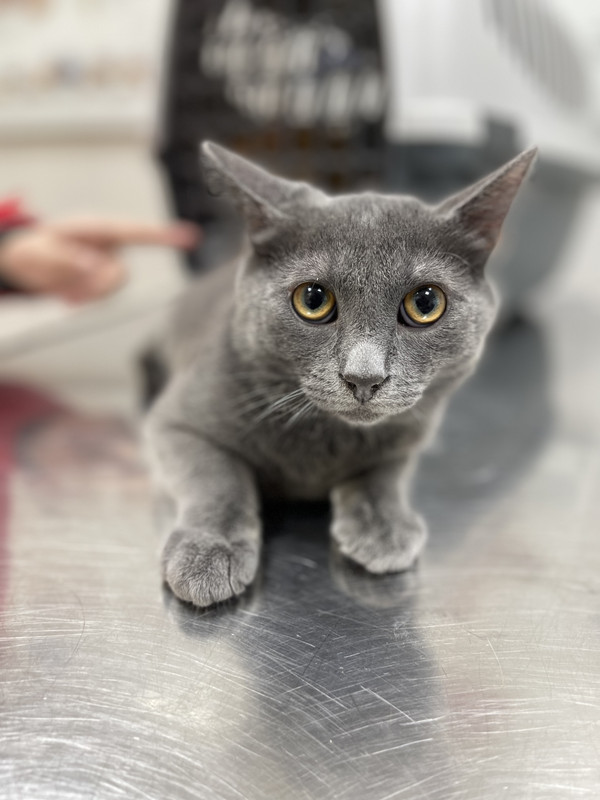 2BB7BD26-C3A0-49D1-8D54-D21FFD243956