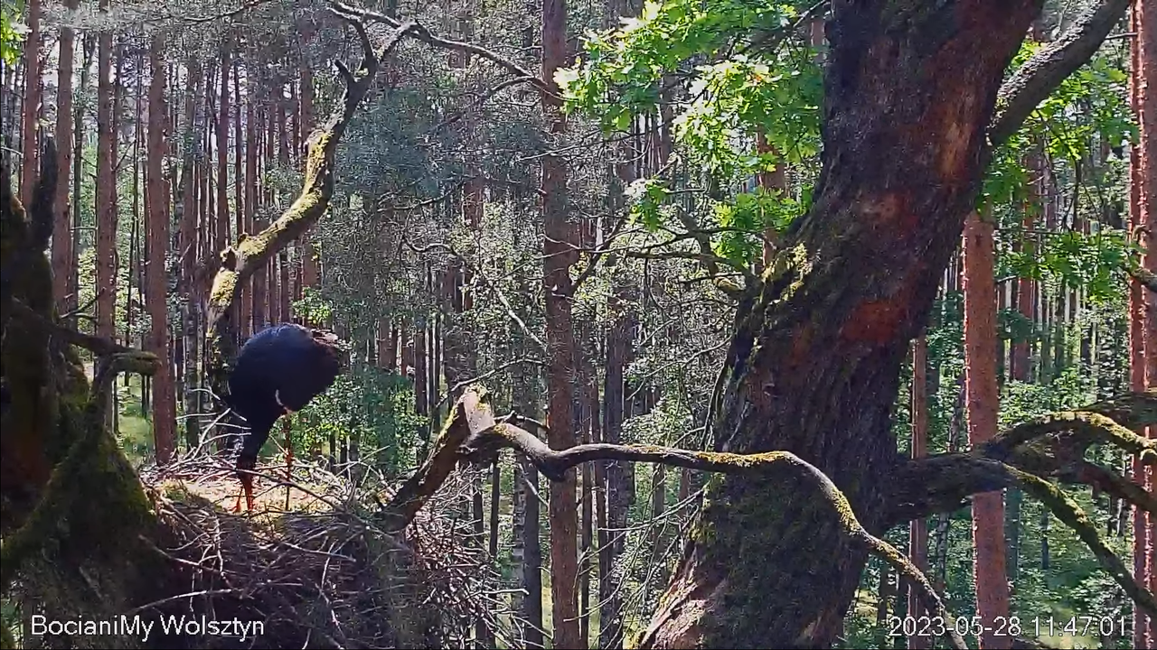 Zrzut ekranu (15149)