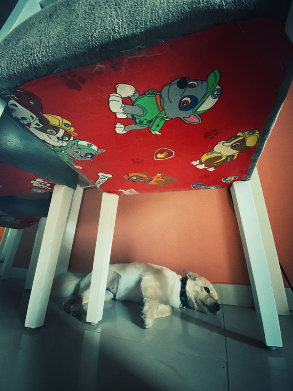 IMG-0110.jpg