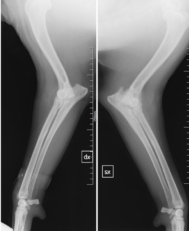 B7D58859-4B21-4852-A81C-C09E2141E8B0