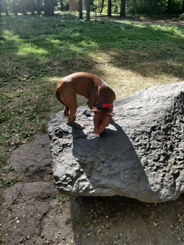 67896E42-C2CA-4D33-8653-39F640A9E110