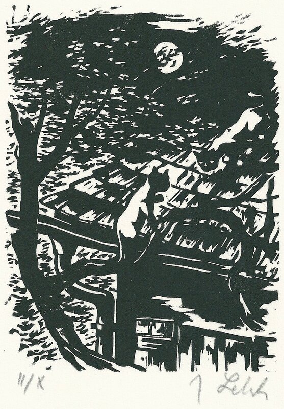 bild1