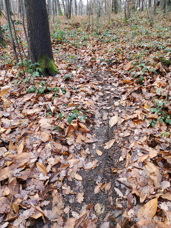 WhatsApp Image 2020-12-15 at 15.07.55 (3)