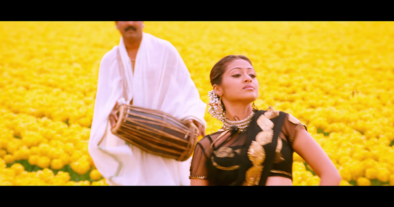 VideoCapture_20241122-195505