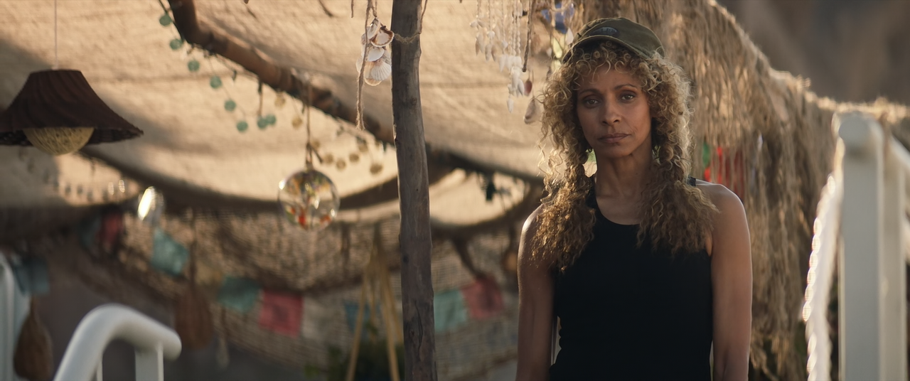 Star.Trek.Picard.S01E02.Maps.and.Legends.1080p.BluRay.Remux.DTS-HD.MA5.1.H.264-BTN.mkv_snapshot_40.2