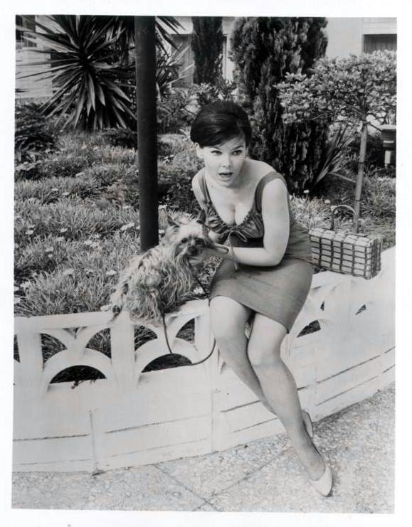 yvonne_craig_033