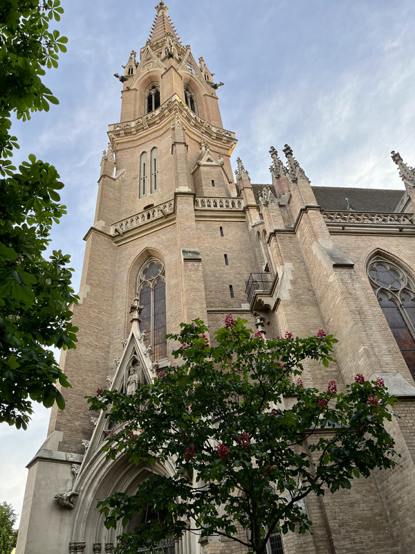 37C80337-7E89-473B-952F-3D7444C26E6E