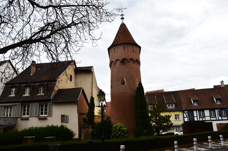 OBERNAI-15-11-2022 - Francia y sus pueblos-2016/2022 (22)