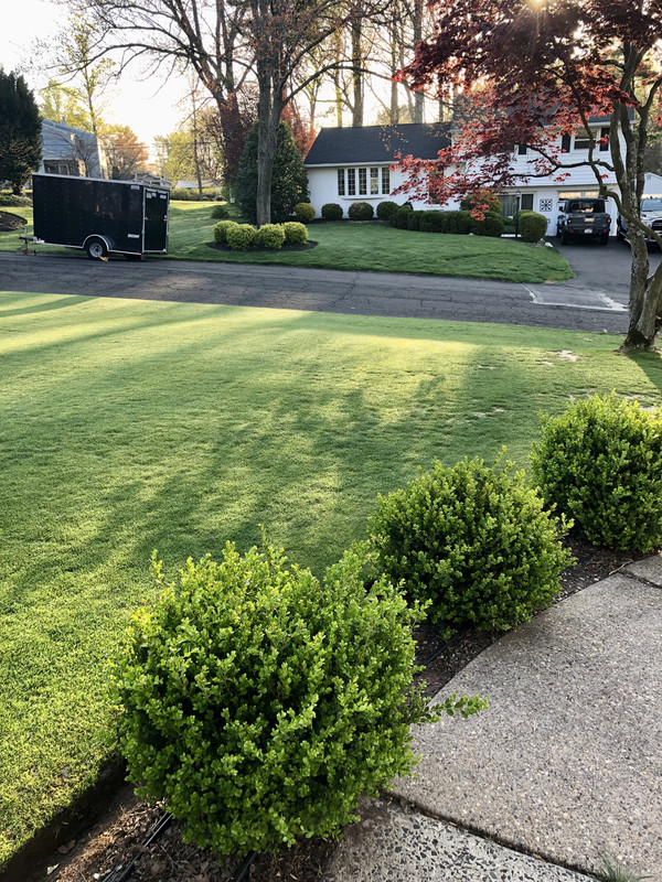 9FD03F56-F2E1-4D57-8D78-1114DA031809